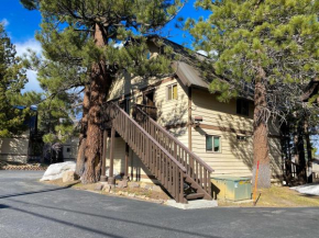 Mammoth View Villas #47